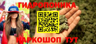 спиды Бердск